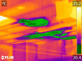 Ceiling Leak (2)
